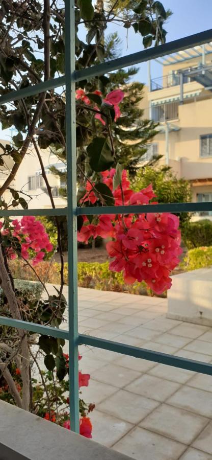 Pelagos Hill Apartment Paphos Extérieur photo